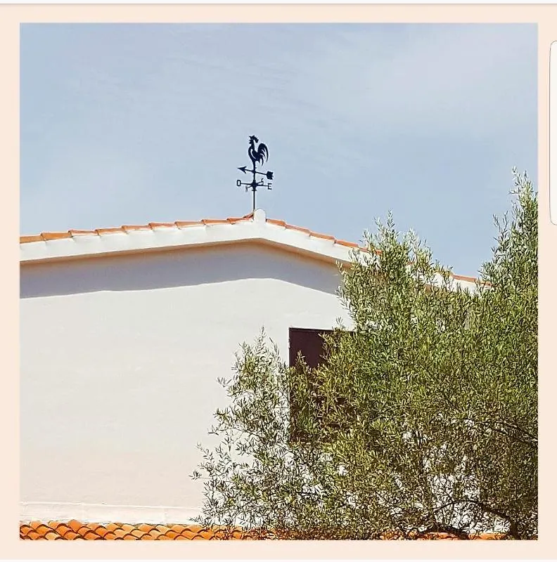 Villa La Rucchetta Alghero Italy